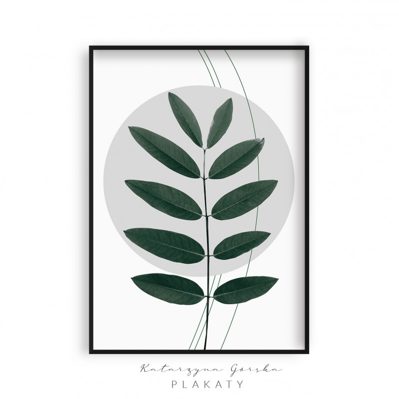 Plakat botaniczny - duży liść na tle jasnoszarego koła