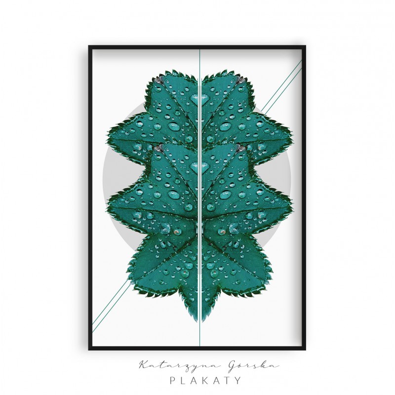 Plakat skomponowany z liści