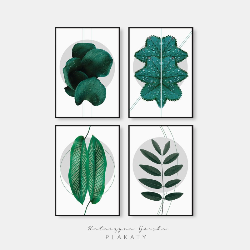 Plakaty botaniczne polskich artystów