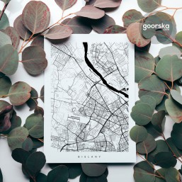 Bielany - mapa z ulicami
